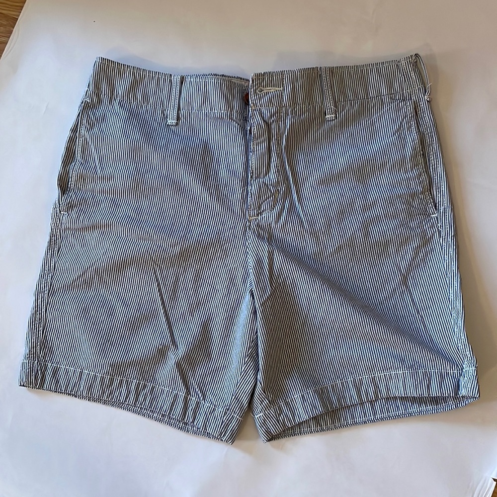 Hollister Mens Shorts, Size 33